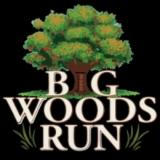 event logo